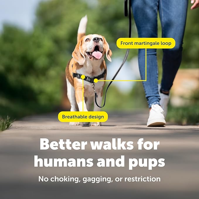 PetSafe Easy Walk Harness for Dogs - Pull-Free Walks - Patented Martingale Loop Design - Front Chest Leash Attachment - Comfort Straps - Breathable Harness Design - Small/Medium, Charcoal/Black