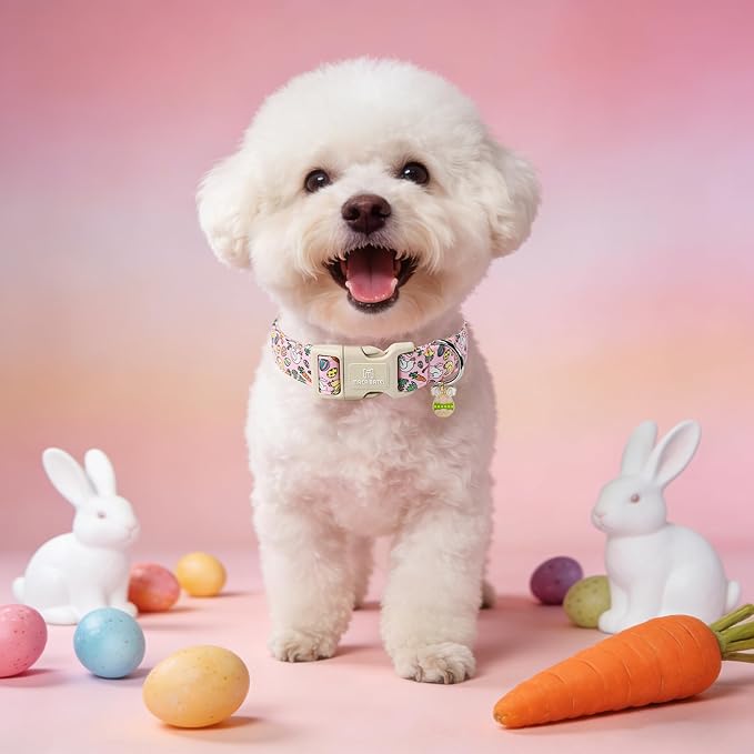 Maca Bates Easter Day Dog Collar Egg and Bunny Chicken Dogs Collars Soft Durable Cute Adjustable Pink Eggs Collor Easters Rabbit Gift for Small Boy Girl Male Female Puppy and Pet
