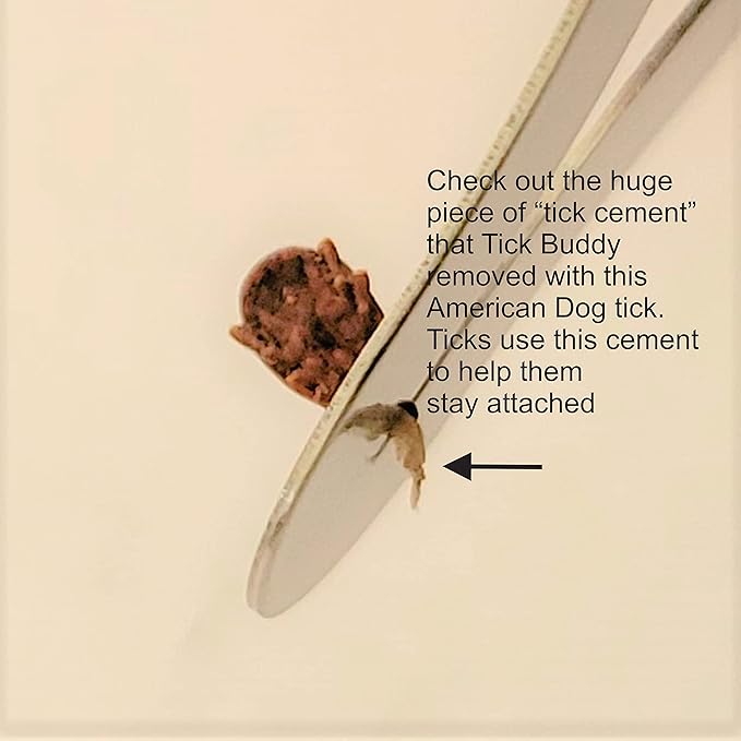 Tick Buddy (Six Pack) Stainless Steel Tick Removal Tool for Dogs Cats Pets and People