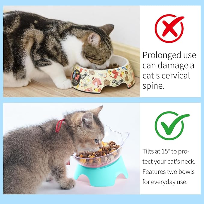 MILIFUN Raised Cat Food Bowls with Stand, Cat Dishes for Food or Water, Cats Tilted Bowl, Pet Dish with Stand (Blue Double Bowl)