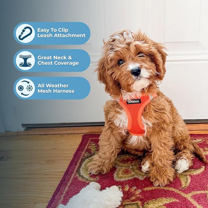 Best Pet Supplies Voyager Step-in Air Harness - All Weather Mesh, Reflective, No Pull Harness for Dogs, Cats - Secure with Hook & Loop Fastener, Buckle, Double D-Rings - Orange, XS