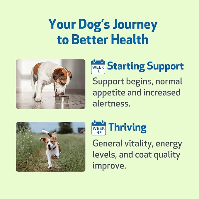 Pet Wellbeing Life Gold for Dogs - Vet-Formulated - Immune Support and Antioxidant Protection - Natural Herbal Supplement 2 oz (59 ml)