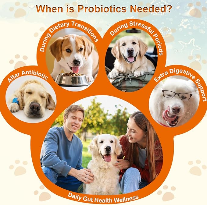 Dog Probiotic Soft Chews 200, Support Gut Health, Immunity, Diarrhea Gas Relief Digestive Balance, Relieve Itchy Skin, with Pumpkin Blueberry, 6 Digestive Enzymes, 4 Prebiotics, 6 Probiotics for Dogs