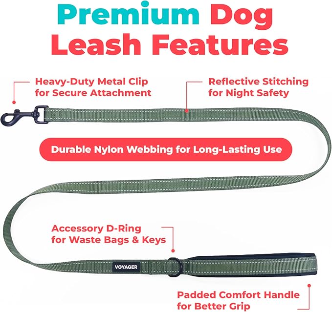 Best Pet Supplies Voyager Reflective Dog Leash or Collar with Neoprene Handle, for Small, Medium, and Large Breed Puppies, Cute and Heavy Duty for Walking, Running and Training - Moss Green (Leash), S