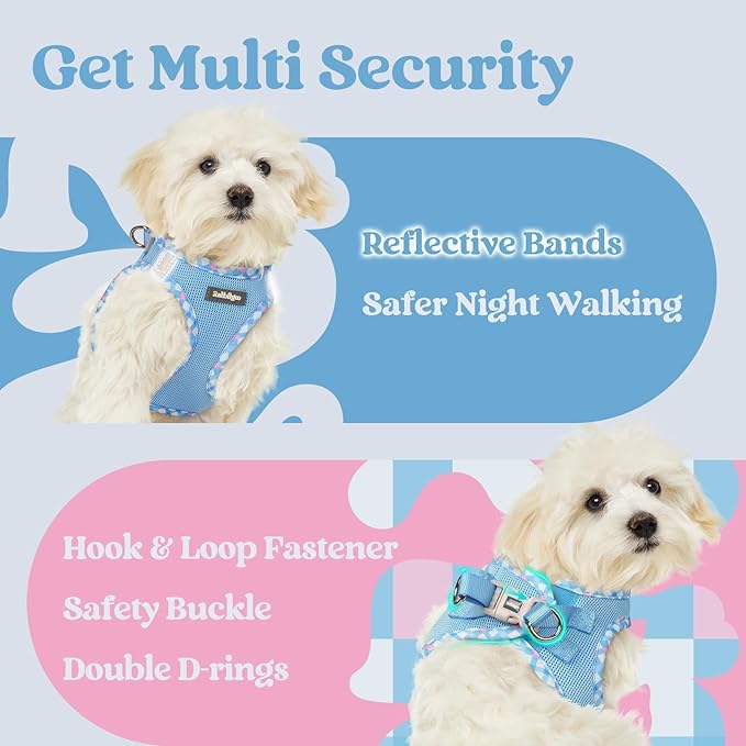 rabbitgoo Small Dog Harness, Step-in Soft Mesh Puppy Vest with Safety Buckle, Breathable Reflective Pet Harness for Extra Small Dogs, Blue & Plaid Trim XXS