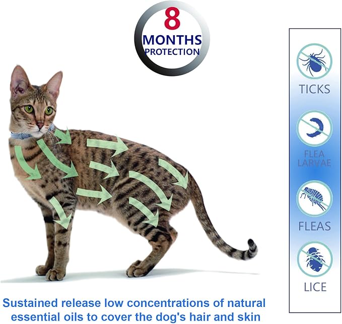 Natural Ingredients Flea Repellent Collar for Cats, Safe and Effective Flea and Tick Repellent, Waterproof, 8 Months Protection per Collar, Free Comb, One Size Fits All, 13.8 Inches, 2-Pack