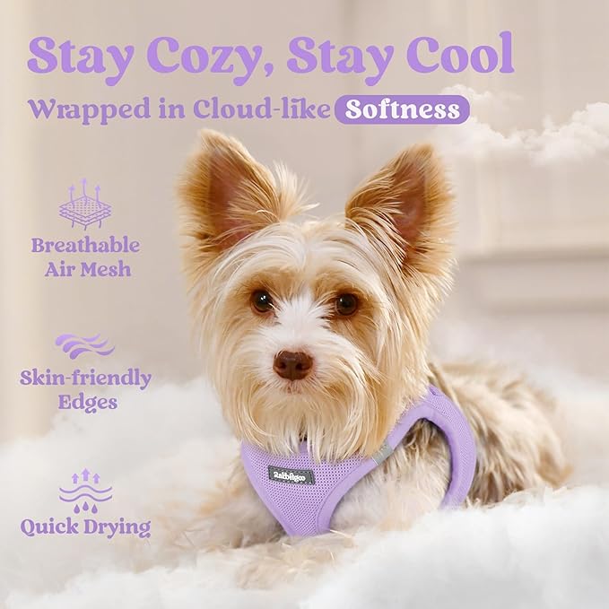 rabbitgoo Small Dog Harness, Step-in Soft Mesh Puppy Vest with Safety Buckle, Breathable Reflective Pet Harness for Small Sized Dogs, Light Purple XS