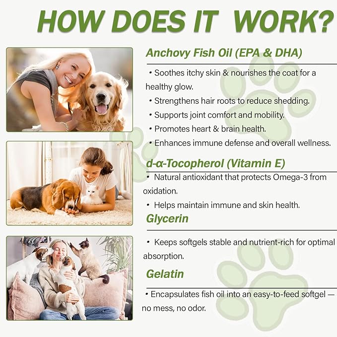 【NUTRIARISE】 Omega 3 Fish Oil Capsules for Dogs – Supports Heart, Skin & Coat, Dog Supplement with EPA & DHA | 120 Softgels