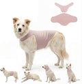 DAJIDALI® Dog & Cat Anxiety Vest & Spay Recovery Suit – Silent Calming Wrap for Surgery, Thunderstorms – Breathable Cone Alternative