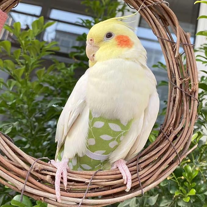 Bird Diaper Harness Flight Suit Clothes, Parrot Flight Suit with Leash for Parrot, Bird Flying Clothes with Rope for Outdoor Activities Training (White with Leash,Sulphur-Crested Cockatoo)
