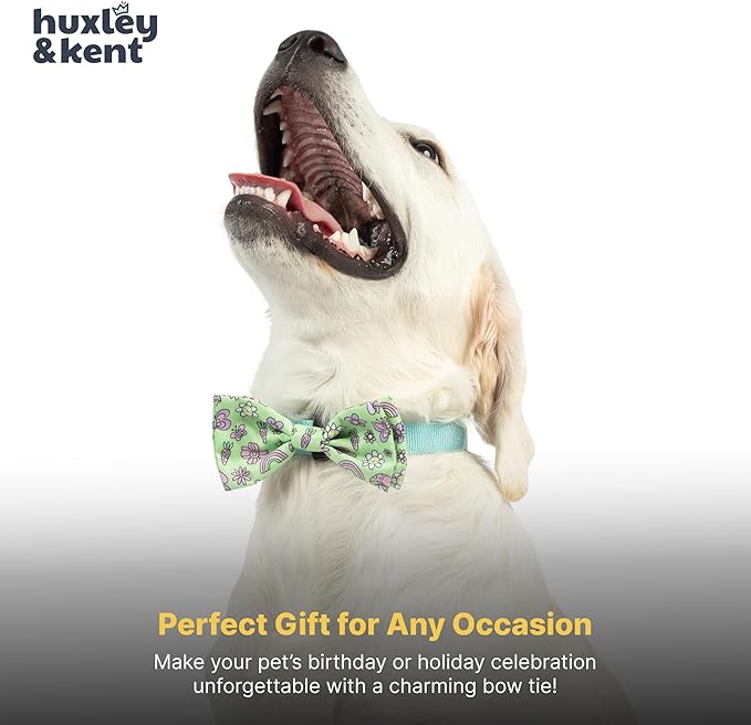 Huxley & Kent Pet Bow Tie for Dogs & Cats - Spring Theme Adjustable Hook & Loop Collar Accessory - Cute & Comfortable for Holidays & Celebrations - Everything Spring, Small