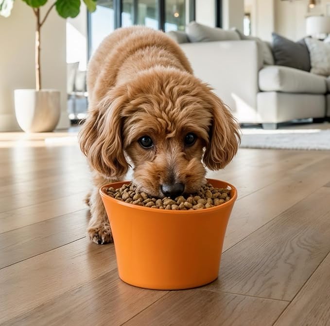 Elevated Cat Bowls for Water – Raised Bowl for Indoor Cats – Whisker Fatigue Shallow Cat Dishes – Vet-Recommended Height & Modern Pedestal Design – Non-Slip & Dishwasher-Safe – 8 oz, Orange