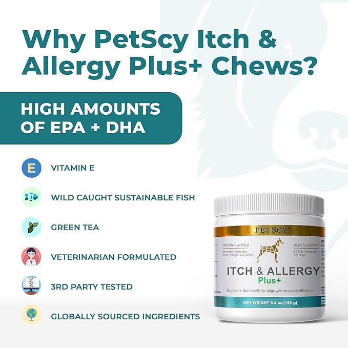 PetScy Itch & Allergy Plus Chews for Dogs Itchy Skin, Ears & Paws | Probiotics, Moringa & Turmeric | Dog Allergy Relief for Skin Redness, Hair Loss Gut & Digestive Health - Bacon Flavor - 60 Chews