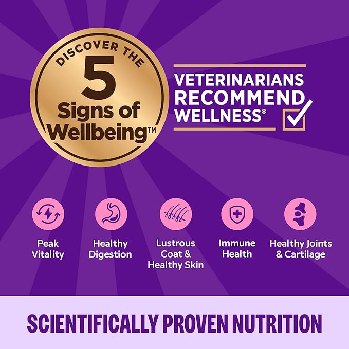 Wellness Complete Health Gravy & Minced Adult Wet Cat Food, Natural, Protein-Rich, Grain-Free, 3 Ounce, 24 Pack, (Chicken & Turkey Lovers Variety Pack)