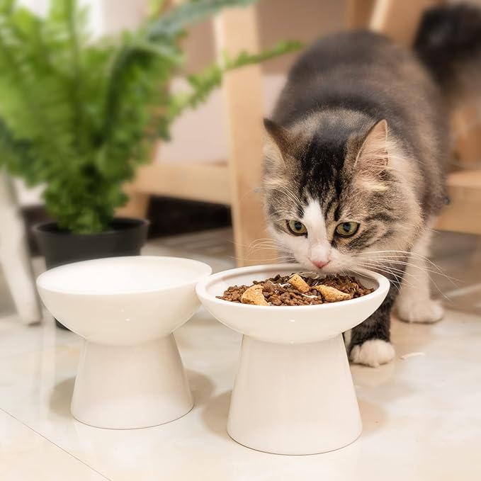 2 Elevated Ceramic Cat Bowls Extra Wide for Food & Water – Whisker Fatigue Shallow Food Dish, Lead & Cadmium-Free, Raised Height for Cats and Dogs, Two Different Depth Bowls, White