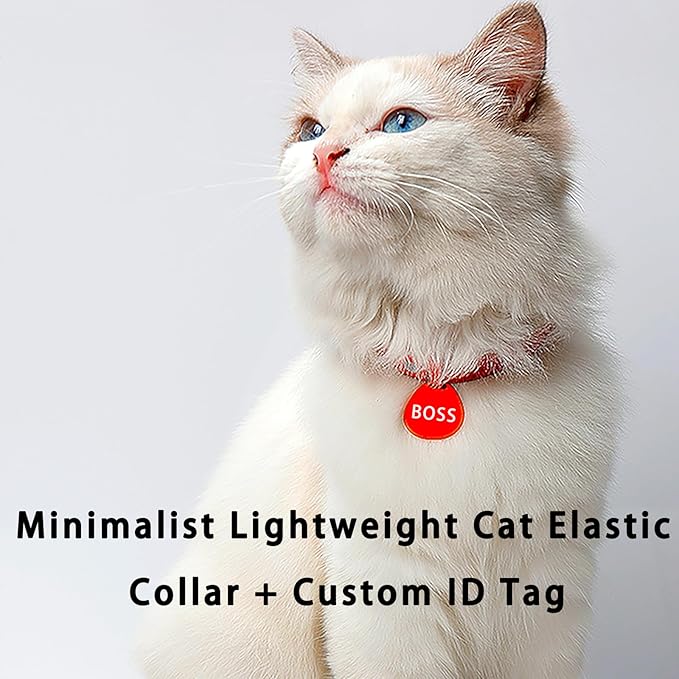 Minimalist Stretch Lightweight Custom Engraved Cat Collar with Name Tag Personalized Cat Collars for Kitten Boy & Girl Cats (Coffee Color, Collar with ID Tag)