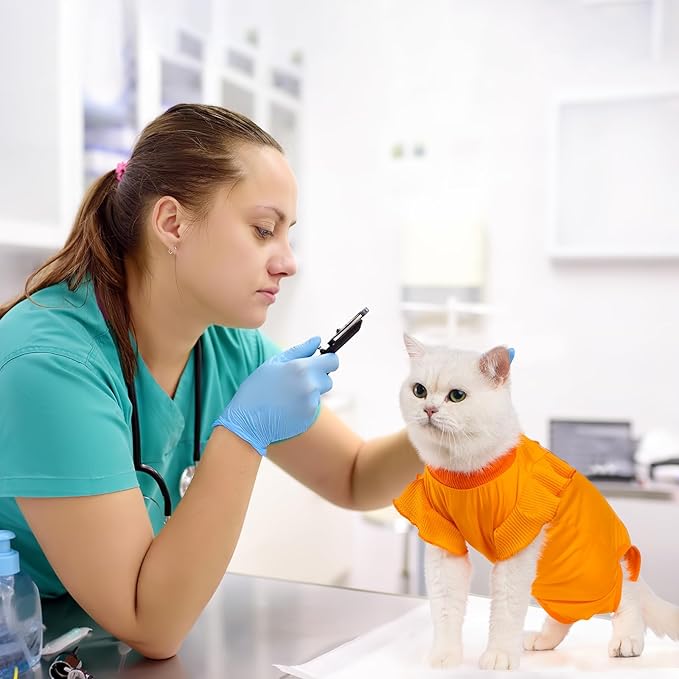 Avont Cat Recovery Suit - Post-Surgery Onesie for Cats, Alternative to Cone of Shame, Protective Spay Suit for Female Kitten, Ideal for Healing and Skin Conditions -Orange(M)