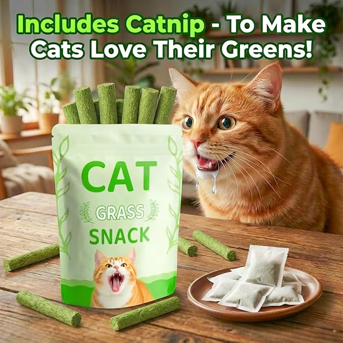Cat Grass Treat Cats Toy 100g/3.53oz Freeze Dried Catnip Toys Kitten Chew Stick for Removal Hairballs for Cleaning Teeth Indoor Kitty Dental Care Lickable Edible Snack