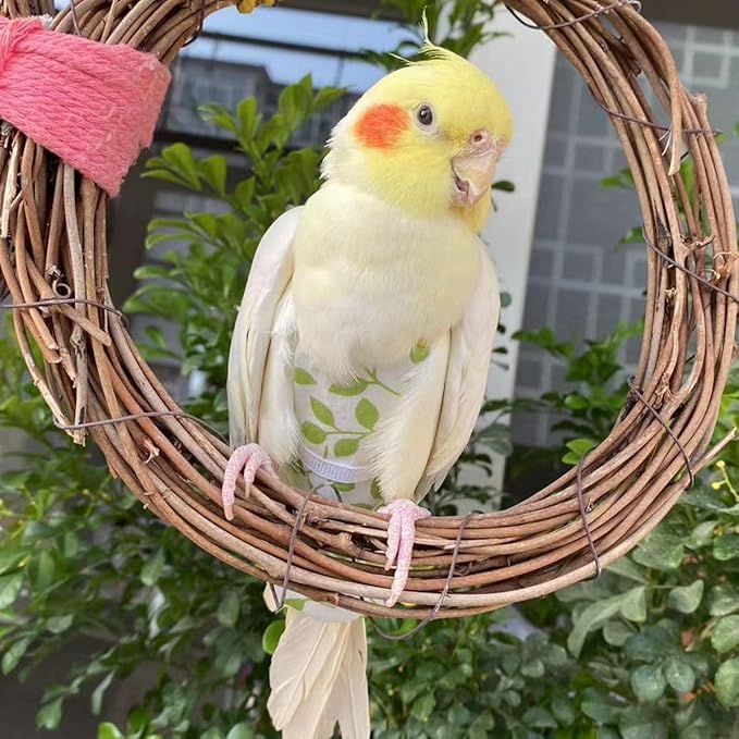 Bird Diaper Harness Flight Suit Clothes, Parrot Flight Suit with Leash for Parrot, Bird Flying Clothes with Rope for Outdoor Activities Training (White Without Leash,S)