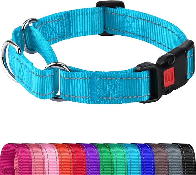 Joytale Martingale Collar for Dogs, Reflective Heavy Duty for Safety, Quick Release Buckle, Adjustable Nylon Collars for Small Dogs Walking Training, Sky Blue,S