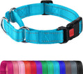 Joytale Martingale Collar for Dogs, Reflective Heavy Duty for Safety, Quick Release Buckle, Adjustable Nylon Collars for Puppy and XSmall Dogs Walking Training, Sky Blue,XS