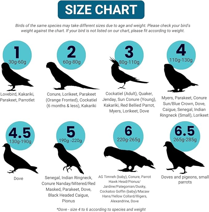 Bev's Bird Boutique Regular Flyper Adjustable Bird Diaper | Reusable, Washable Cloth | Comfort Fit for Parrot, Cockatiels, & Other Small Birds | Fashionable Avian Accessories, Pirate, Size 9