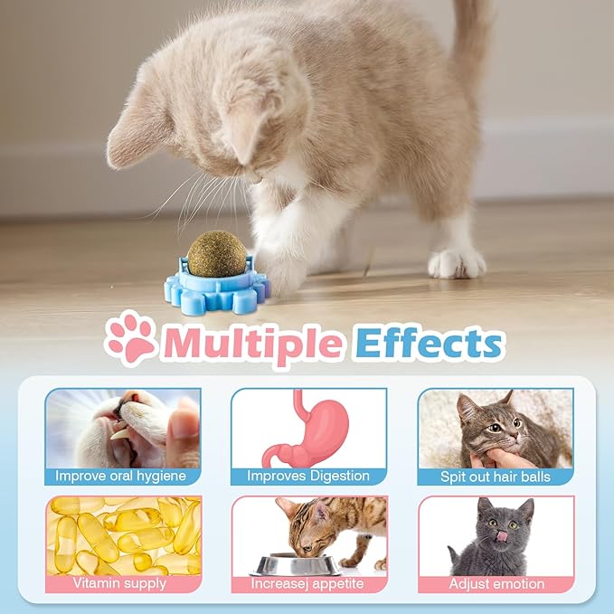 Catnip Ball - 4Packs - Catnip Balls for Cats Wall - Cat Nip Ball- Cat Nips Organic Balls - Magic Lickable for Cat Teeth Cleaning, Play