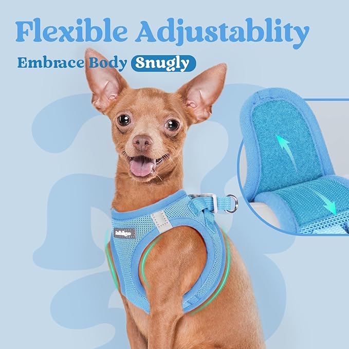 rabbitgoo Small Dog Harness, Step-in Soft Mesh Puppy Vest with Safety Buckle, Breathable Reflective Pet Harness for Small Sized Dogs, Blue M