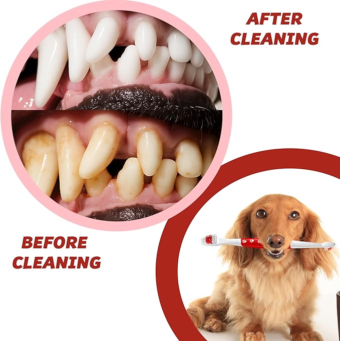 Pets & Pupps Dog Toothbrush for All Dogs, Soft-Bristled Tooth Brushing Kit, Easy Teeth Cleaning & Dental Care, Premium Non-Slip Handle Dual Head, Pet Toothpaste Not Included Pack of 2 Green & Pink