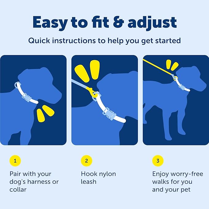PetSafe Nylon Leash - Strong Nylon for Everyday Walks - Durable Pet Leash with Quick Attach Clip - Comfortable Soft Grip - 4 Feet - Raspberry Pink