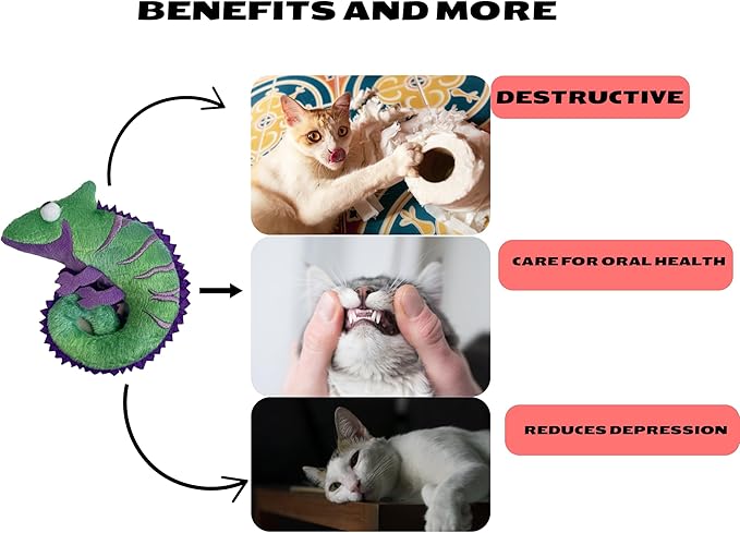 Cat Toys Catnip Crinkly Sound Toy with North American Catnip | Lizard Cat Toy Crinkle Paper Sound | Cat Kitten Toy Teething Chew | Cats Kicker Crinkle Paper | Chameleon Cat Toy 4.5-INCH
