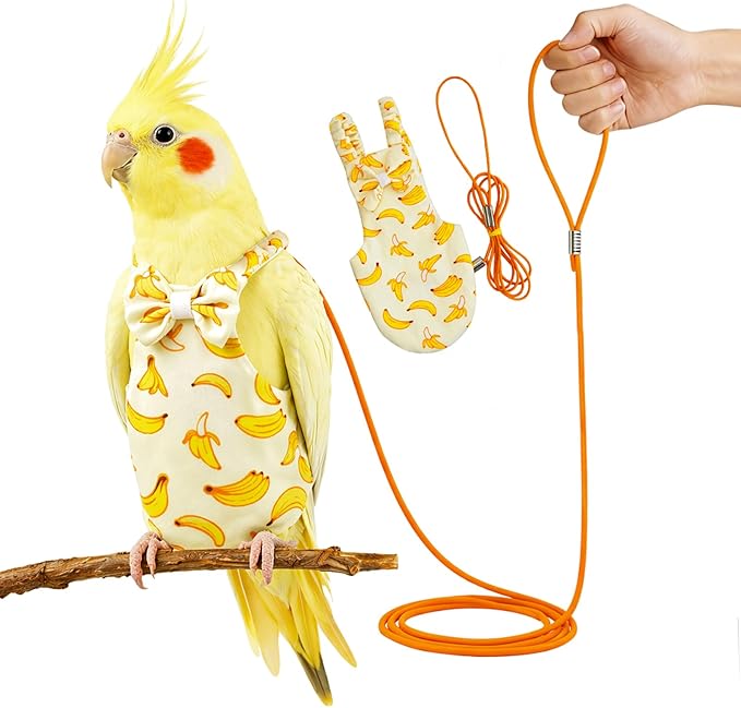 Bird Diaper and Leash Set with Harness, Washable Parrot Diapers with Leash, Pet Bird Flight Suit Set for Outdoor Flying & Training (M)