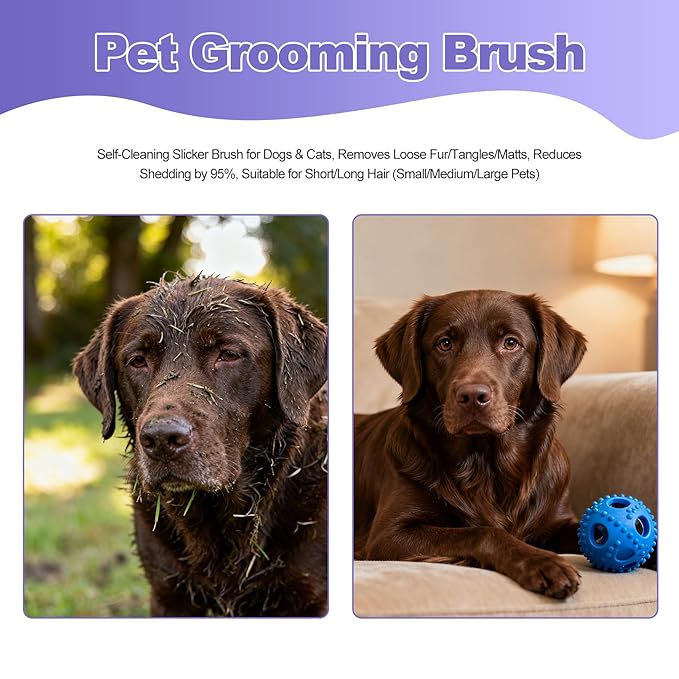 Deshedding Brush For Shedding - Short Long Hair Pet Dog Cat Grooming Tool Brush For Shedding Deshedding Brush for Pet Dogs Cats Rabbits Horses With Flea Comb