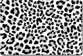 Rnivvi Dog Food Mat, 12" x 19" Leopard Absorbent Dog Cat Bowl Mat for Food and Water, Cute Anti-Slip Rubber Pet Feeding Rug Protect Floors, Puppy Placemat for Feeding & Watering Supplies, Leopard