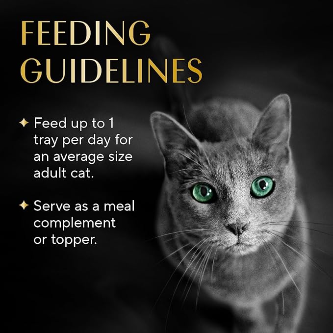 Sheba Selections Filets in Broth, Adult Cat Food Wet Recipe, Meal Complement, Wet Cat Food Variety Pack, Chicken & Tuna, or Chicken & Shrimp Recipe, 1.3 oz. Cups, 24 Count (Pack of 2)
