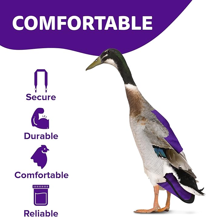 Hen Holster Starter Kit - Wrap-Around Runner Duck Diaper w/ Removable Liner & Fixed Tab - Durable, Secure Fit, Easy-to-Wear - Essential Duck Supplies for Real Ducks, Made in USA - Purple