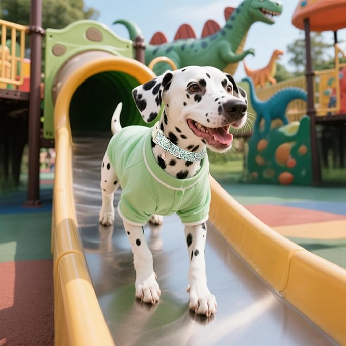 Maca Bates Spring Green Cute Dinosaur Basic Dog Collar for Small Boy Girl Dogs,Durable Soft Adjustable Collars Gift for Male Female Puppy Pet with Safety White Buckle