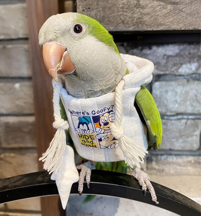 Bird Diaper Flight Suit Frog Shape Hoodie Clothes Cosplay Photo Prop for Parrots Parakeet Cockatiel Sun Conure, Small Animals Apparel (White With Hat, Small)