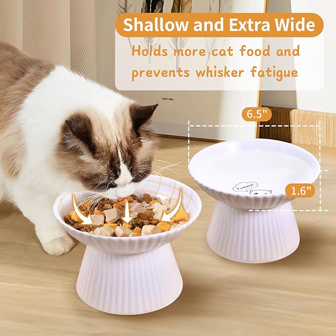Upgraded 2 Ceramic Elevated Cat Bowls 6.5'' Extra Wide Raised Cat Food Bowls for Food and Water, Anti Vomiting, Cat Dishes for Indoor Cats, Whisker Friendly, Dishwasher & Microwave Safe