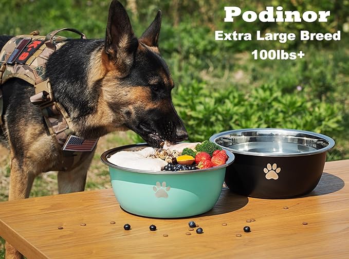 Large Dog Water Bowl 2 Pack, 1.3 Gallons 170oz Stainless Steel Extra Large Dog Food Bowl for Big Giant Dogs, Silver