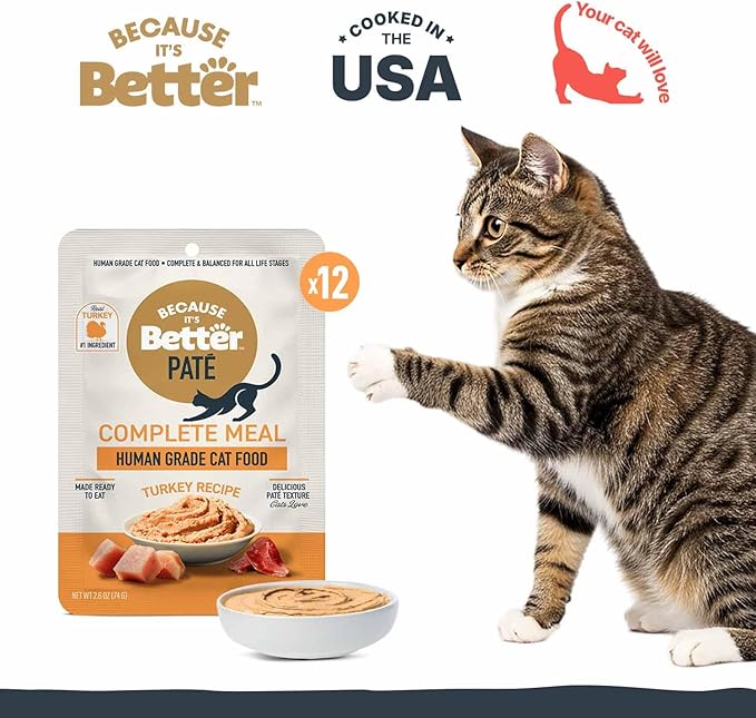 Because It's Better Pate Complete Meal, Turkey Recipe, 2.6 oz Pouches, Wet Cat Food, 12 Count
