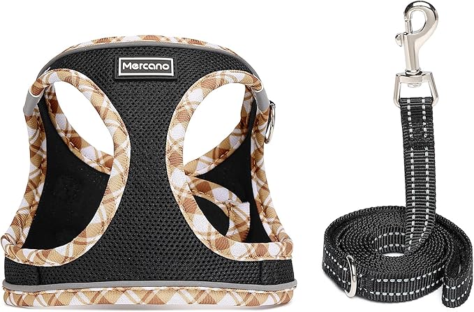 Mercano Soft Mesh Dog Harness and Leash Set, No-Chock Step-in Reflective Breathable Lightweight Easy Walk Vest Harnesses with Safety Buckle for Small Dogs, Cats (Black Yellow, M)