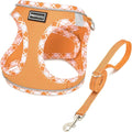 Mercano Soft Mesh Dog Harness and Leash Set, No-Chock Step-in Reflective Breathable Lightweight Easy Walk Vest Harnesses with Safety Buckle for Small Dogs, Cats (Orange, XS)