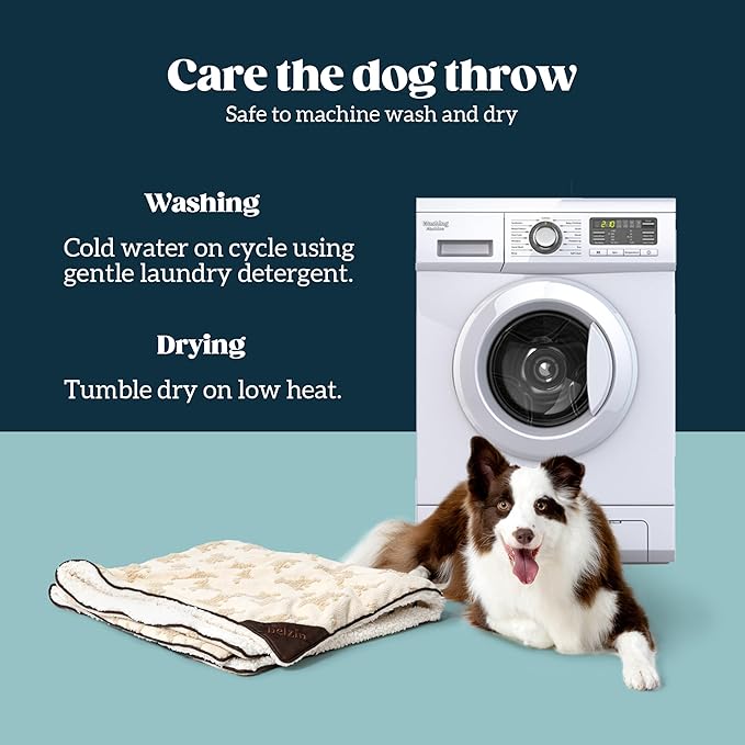 Embossed Sherpa Dog Blankets for Small Dogs - Waterproof Cat Blankets for Indoor Cats - Heavy Duty Couch Cover Protector - Soft Reversible Throw Furniture Protection - Small, Cream