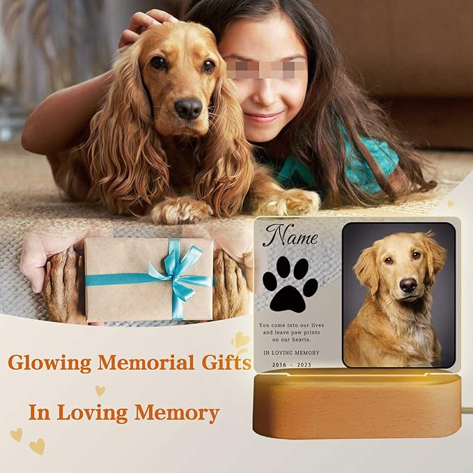 Personalized Pet Night Light Customized Dog Memorial Gift Picture Frame Acrylic Plaque Led Lamp Cat Sympathy Gift for Loss of Pet(Dog Paw)