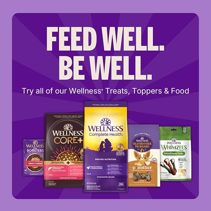 Wellness CORE Healthy Joints Soft Dog Treats, Natural, Grain Free, Beef Recipe, 9 oz Bag