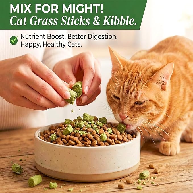 250g/8.82oz Cats Treat Cat Grass Teething Stick Kitten Toy Catnip Toys for Hairball Removal Freeze Dried Chew Dental Food for Indoor Kitty Lickable Edible Snack for Eliminate Fur Digestion