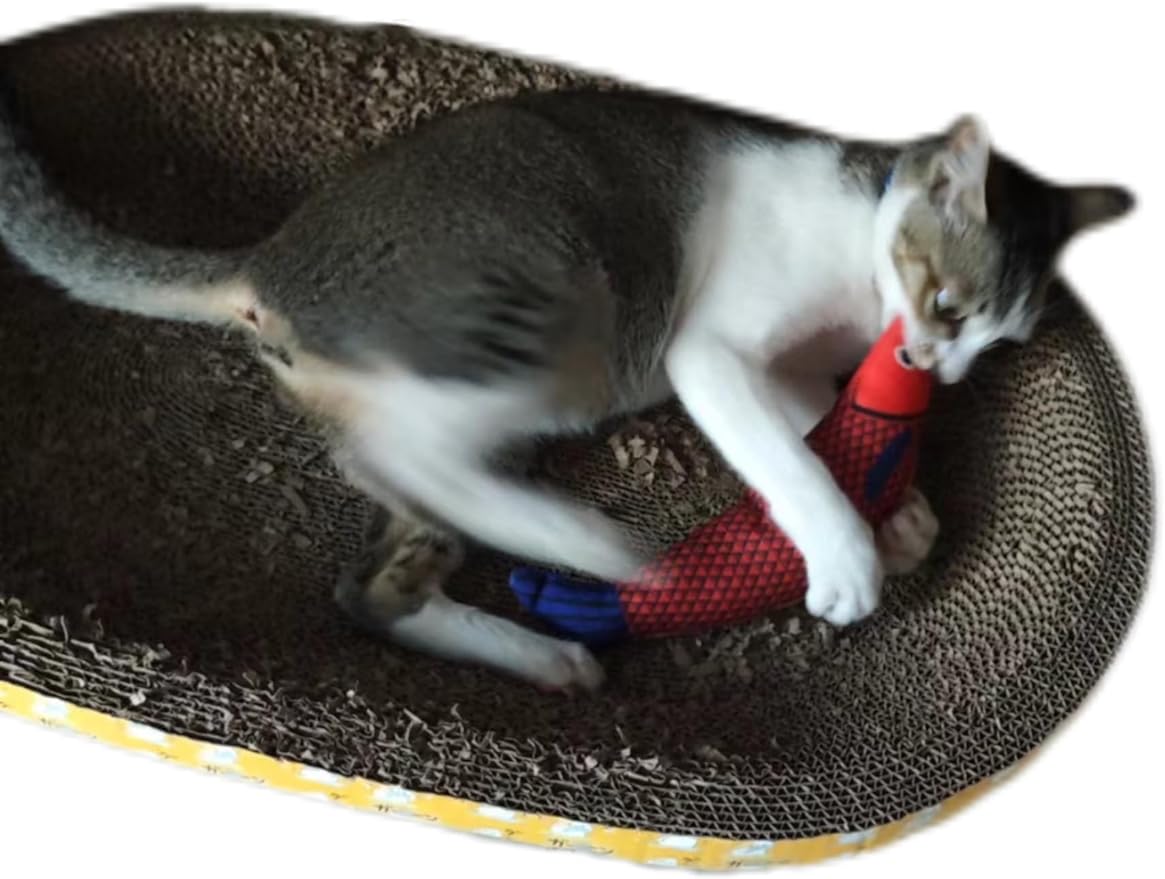 Cat Toys Saury Fish, 3 Pack, Catnip Crinkle Sound, Soft and Durable, Interactive Kitten Kicker for Indoor Kitty Exercise 9.4 Inches for All Breeds