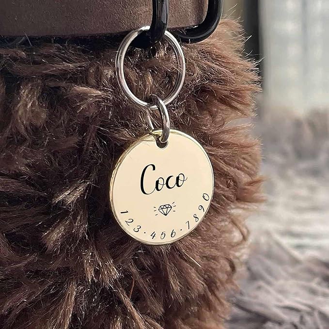 HM001 Cats Dogs ID Tags Personalized Lovely Symbols Pets Collar Name Accessories Custom Engraved Supplies for Four Legged Child Necklace Chain Anti-Lost Metal Simple Charm (Shiny Brass, Small 0.94")