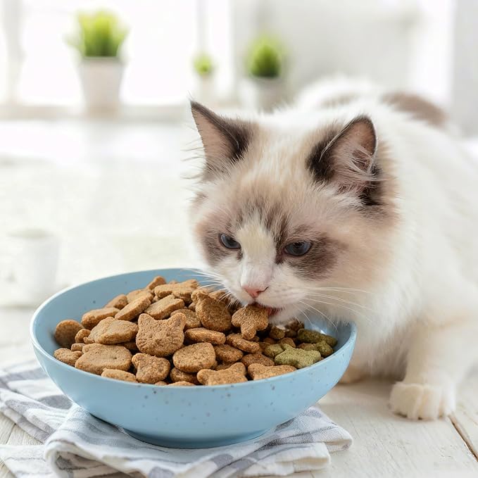 OLULU 10 Pack Cat Bowls, Whisker Friendly Kitten Dishes, Durable Wheat Straw Cat Food Bowls for Indoor Outdoor Cats